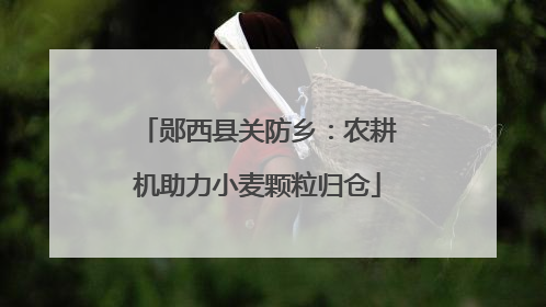 郧西县关防乡：农耕机助力小麦颗粒归仓