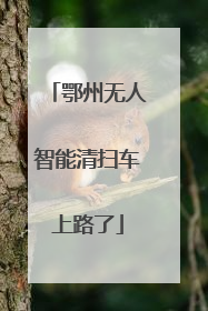 鄂州无人智能清扫车上路了