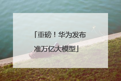 重磅！华为发布准万亿大模型