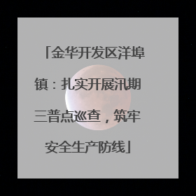 金华开发区洋埠镇：扎实开展汛期三普点巡查，筑牢安全生产防线