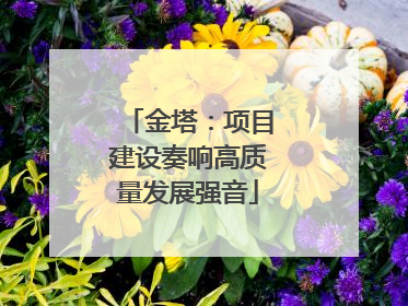 金塔：项目建设奏响高质量发展强音