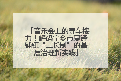 音乐会上的寻车接力！解码宁乡市夏铎铺镇“三长制”的基层治理新实践