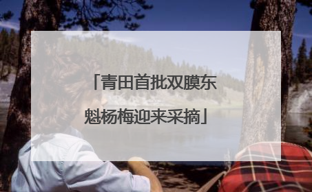 青田首批双膜东魁杨梅迎来采摘