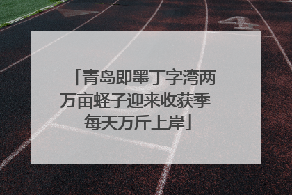 青岛即墨丁字湾两万亩蛏子迎来收获季 每天万斤上岸