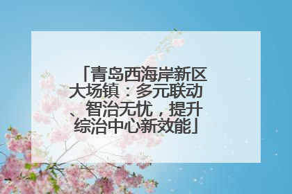 青岛西海岸新区大场镇：多元联动、智治无忧，提升综治中心新效能