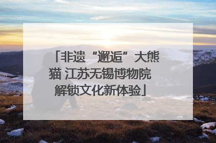 非遗“邂逅”大熊猫 江苏无锡博物院解锁文化新体验