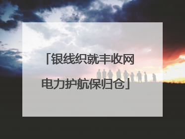 银线织就丰收网 电力护航保归仓