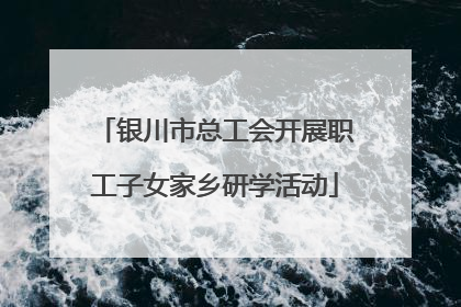 银川市总工会开展职工子女家乡研学活动