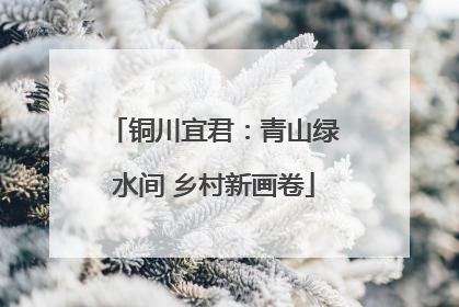 铜川宜君：青山绿水间 乡村新画卷