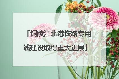 铜陵江北港铁路专用线建设取得重大进展