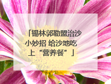 锡林郭勒盟治沙小妙招 给沙地吃上“营养餐”