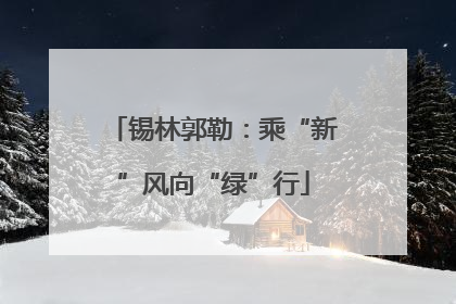 锡林郭勒：乘“新”风向“绿”行