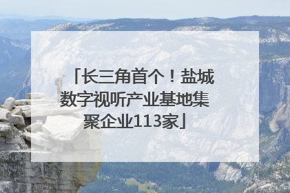 长三角首个！盐城数字视听产业基地集聚企业113家