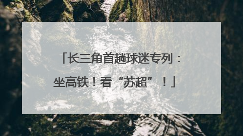 长三角首趟球迷专列：坐高铁！看“苏超”！