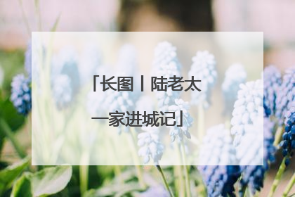 长图丨陆老太一家进城记