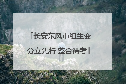 长安东风重组生变：分立先行 整合待考