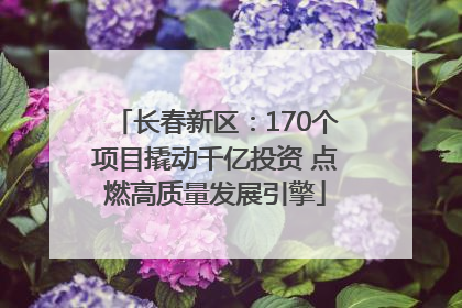 长春新区：170个项目撬动千亿投资 点燃高质量发展引擎