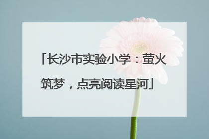 长沙市实验小学：萤火筑梦，点亮阅读星河