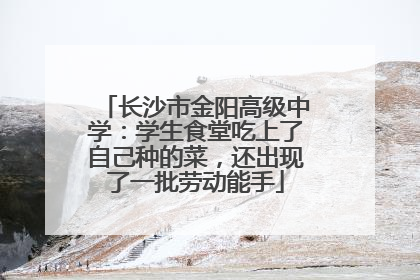 长沙市金阳高级中学：学生食堂吃上了自己种的菜，还出现了一批劳动能手