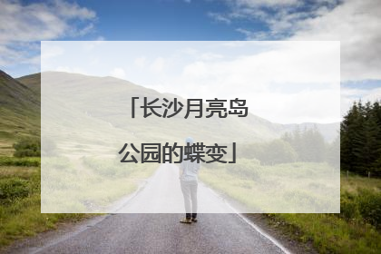 长沙月亮岛公园的蝶变