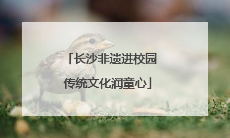 长沙非遗进校园 传统文化润童心