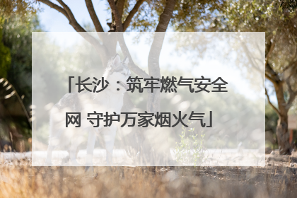 长沙：筑牢燃气安全网 守护万家烟火气