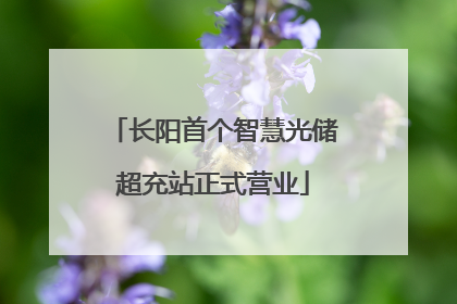 长阳首个智慧光储超充站正式营业