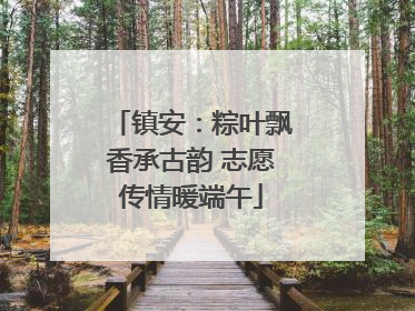 镇安：粽叶飘香承古韵 志愿传情暖端午