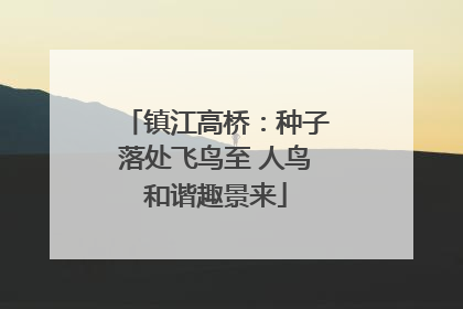 镇江高桥：种子落处飞鸟至 人鸟和谐趣景来