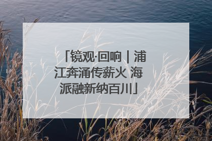 镜观·回响｜浦江奔涌传薪火 海派融新纳百川