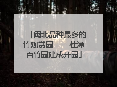 闽北品种最多的竹观赏园——杜潭百竹园建成开园