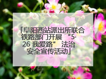 阜阳西站派出所联合铁路部门开展 “5·26 我爱路” 法治安全宣传活动