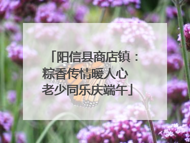阳信县商店镇：粽香传情暖人心 老少同乐庆端午