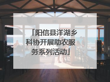 阳信县洋湖乡科协开展助农服务系列活动