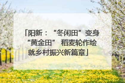 阳新：“冬闲田”变身“黄金田” 稻麦轮作绘就乡村振兴新篇章