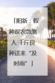 阳新：假种误农急煞人 千斤良种送来“及时雨”