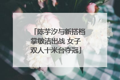 陈芋汐与新搭档掌敏洁出战 女子双人十米台夺冠