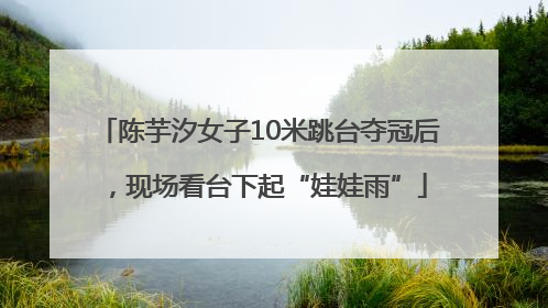 陈芋汐女子10米跳台夺冠后，现场看台下起“娃娃雨”