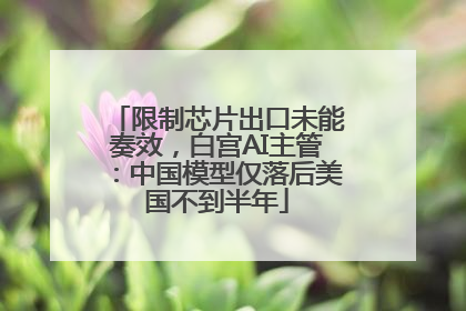 限制芯片出口未能奏效，白宫AI主管：中国模型仅落后美国不到半年