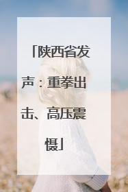 陕西省发声：重拳出击、高压震慑