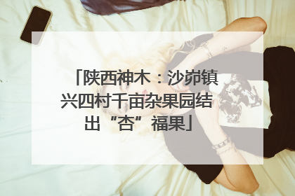 陕西神木：沙峁镇兴四村千亩杂果园结出“杏”福果