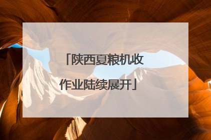 陕西夏粮机收作业陆续展开