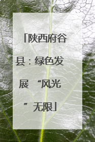 陕西府谷县：绿色发展 “风光”无限