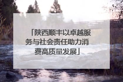 陕西顺丰以卓越服务与社会责任助力消费高质量发展