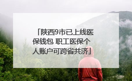 陕西9市已上线医保钱包 职工医保个人账户可跨省共济