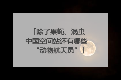除了果蝇、涡虫 中国空间站还有哪些“动物航天员”