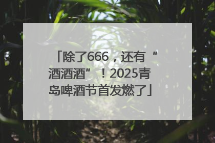 除了666，还有“酒酒酒”！2025青岛啤酒节首发燃了