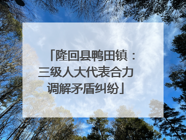 隆回县鸭田镇：三级人大代表合力调解矛盾纠纷