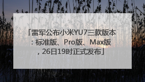 雷军公布小米YU7三款版本：标准版、Pro版、Max版，26日19时正式发布