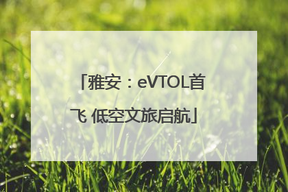 雅安：eVTOL首飞 低空文旅启航